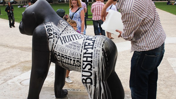 Bristol Zoo’s Gorilla Marketing