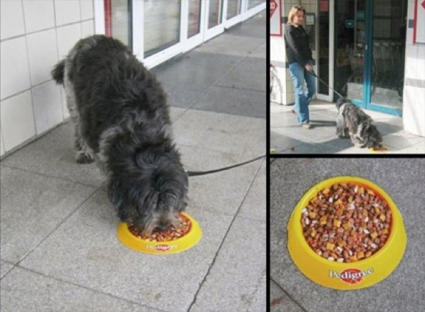 pedigree guerrilla marketing examples